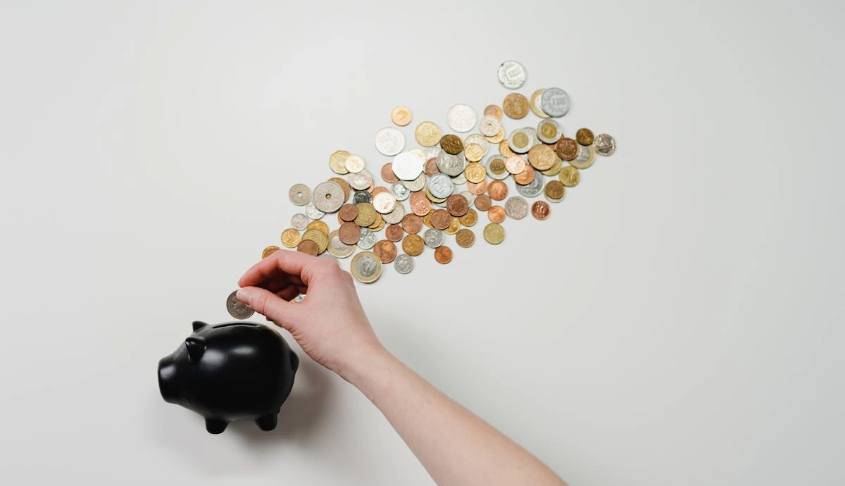 India to Raise Rs 20,000 Crore Through Sovereign Green Bonds in H2 FY25