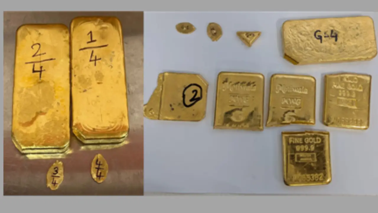 DRI Busts Gold Smuggling Syndicate; ₹14.13 Crore Seized